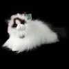 Pliušinis Rappa Ragdoll katinas 38 cm EKOLOGIŠKAS