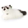 Pliušinis Rappa Ragdoll katinas 38 cm EKOLOGIŠKAS