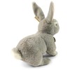 Rappa Eco-Friendly Pliušinis žaislas - triušis, 23 cm