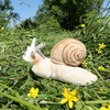 Rappa Plush snail 23 cm ECO-FRIENDLY