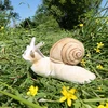 Dėlionė Rappa Plush snail 23 cm ECO-FRIENDLY