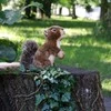 Rappa pliušinis voveraitė su riešutu 20 cm ECO-F.