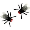 Rappa Poop/sludgy poop with flies