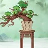 Dėlionė Rappa RoboTime 3D wooden pine puzzle