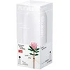 Konstruktorius Sluban Flowers peonies M38-B1101-05