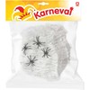 Rappa Voratinklis su vorais, baltas