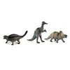 Rappa dinozauras 25–33 cm, 12 rūšių