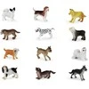 Rappa the dogs, 12 pieces