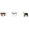 Rappa the dogs, 12 pieces