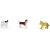 Rappa the dogs, 12 pieces