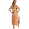 Rappa the Hawaii skirt adult 72 cm, nature
