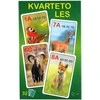 Rappa the Quartet card game - the Forest