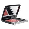 Skaistalai DIOR DIORSKIN ROUGE MATTE COLORETE Nº219