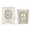 Diptyque Ambre Scented Candle Unisex, 190 g