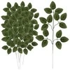 Dirbtiniai lapai 47cm - komplekte 12 Gardlov 22557