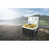 FIRSTAUSTRIA TZS First Austria Thermoelectric Cooling Box, 45L (40L Net), F, AC/DC, TROLLEY FA-5170-2-BA