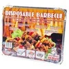 Grill Impex Vienkartinis grilis su BBQ briketais