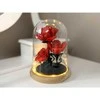 Jokomisiada Illuminated ROSE under the dome - flowers, 219 pieces ZA5901