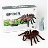 KIK Nuotoliniu būdu valdomas TARANTULA voras + PILOTAS
