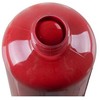Plakatų dažai - 12 vnt. rinkinys po 500 ml Maaleo 26340