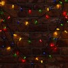 TelForceone Styginių šviesos PINE CONE 100LED 8m daugiaspalvis Forever Light