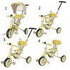 Double Horse Triratis TRIKE FIX V4 vaikams geltonai pilkas su baldakimu