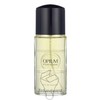 Yves Saint Laurent YSL Opium Pour Homme EDT Purškiklis, 100 ml