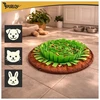 Toy - smell mat for dogs Purlov