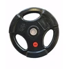 Provesport Guma trauktas svoris Prove 31mm 10kg (su nerūdijančio plieno įvore)
