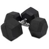 Provesport Hexagon šešiakampis hantelis 27,5kg (1vnt)