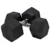 Provesport Šešiakampis hantelis Prove Hexagon 17,5kg (1vnt)