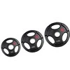 Provesport Olimpinis gumuotas svoris Prove 51mm 5kg (su nerūdijančio plieno įvore)