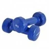 Provesport Aerobikos hantelis Prove 2kg (1vnt)