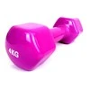 Provesport Aerobikos hantelis Prove 4kg (1vnt)