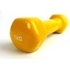 Provesport Aerobikos hantelis Prove 1kg (1vnt)