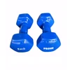 Provesport Aerobikos hantelis Prove 5kg (1vnt)