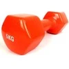 Provesport Aerobikos hantelis Prove 5kg (1vnt)