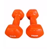 Provesport Aerobikos hantelis Prove 2kg (1vnt)