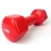 Provesport Aerobikos hantelis Prove 2,5kg (1vnt)
