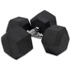 Provesport Šešiakampis hantelis Prove Hexagon 2x35kg