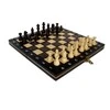 Provechess Magnetiniai šachmatai Magnetic School 260x130x40mm, karalius 50mm