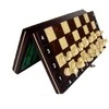 Provechess Magnetiniai šachmatai Magnetic School 260x130x40mm, karalius 50mm