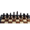 Provechess Magnetiniai šachmatai Magnetic Small 280x140x40mm, karalius 60mm