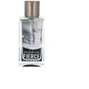 Abercrombie & Fitch Fierce Cologne Men EDC odekolonas vyrams, 50 ml
