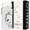 Armaf Caballo Pour Homme EDP parfumuotas vanduo vyrams, 100 ml