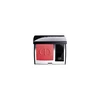 Skaistalai DIOR DIORSKIN ROUGE MATTE COLORETE Nº999