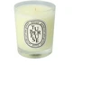 Testinė „Diptyque Tubereuse“ kvapioji žvakė 70 g