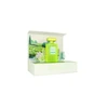 Jenny Glow Olivia Blossom EDP U 80 ml dovanų dėžutė