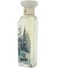 Reef Entertainment Reef Blanc Ash kvepalai 150ml
