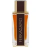 Salvatore Ferragamo Ferragamo Ferragamo Spicy Leather PP kvepalai vyrams, 100 ml